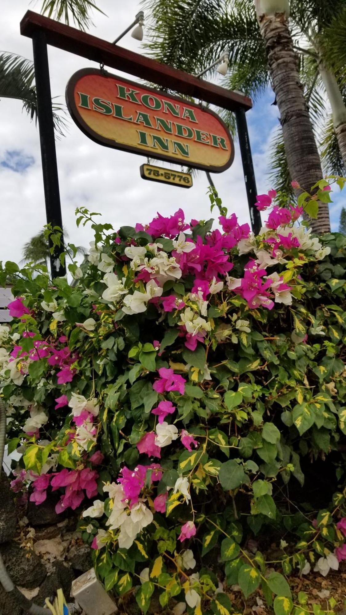 Downtown Hawaiian Theme Condo With Hot Tub, Pool & Beach - Kona Islander Inn Kailua-Kona Luaran gambar